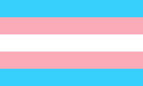 Trans Pride Flag